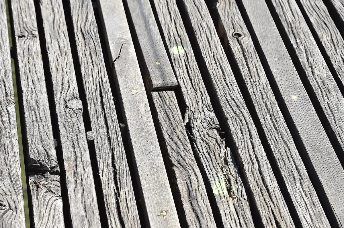 Holzsteg mit Pilzbefall